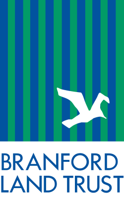 BLT-Logo